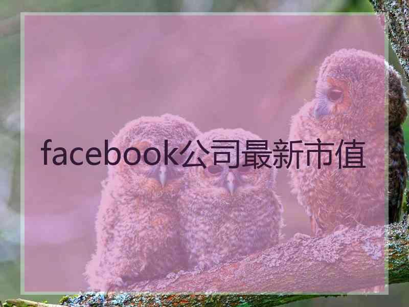 facebook公司最新市值