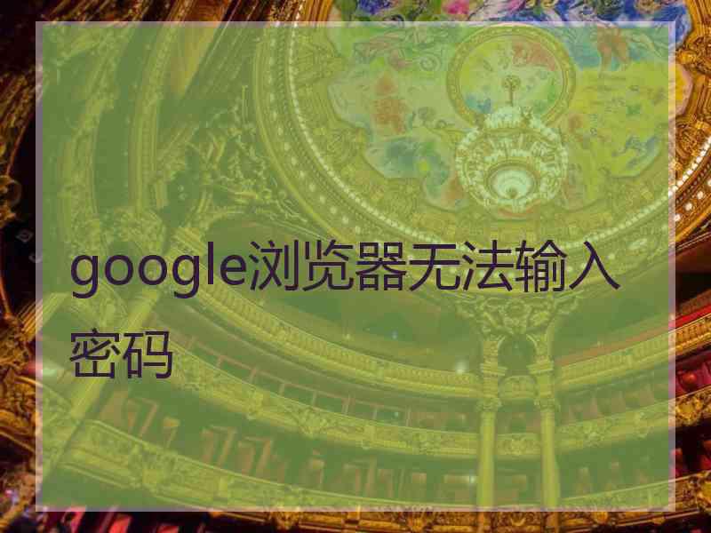 google浏览器无法输入密码