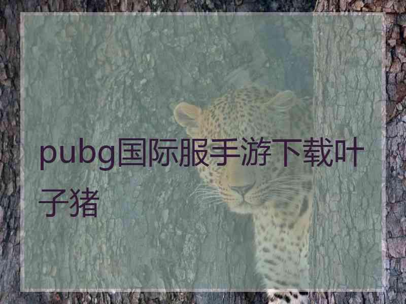 pubg国际服手游下载叶子猪