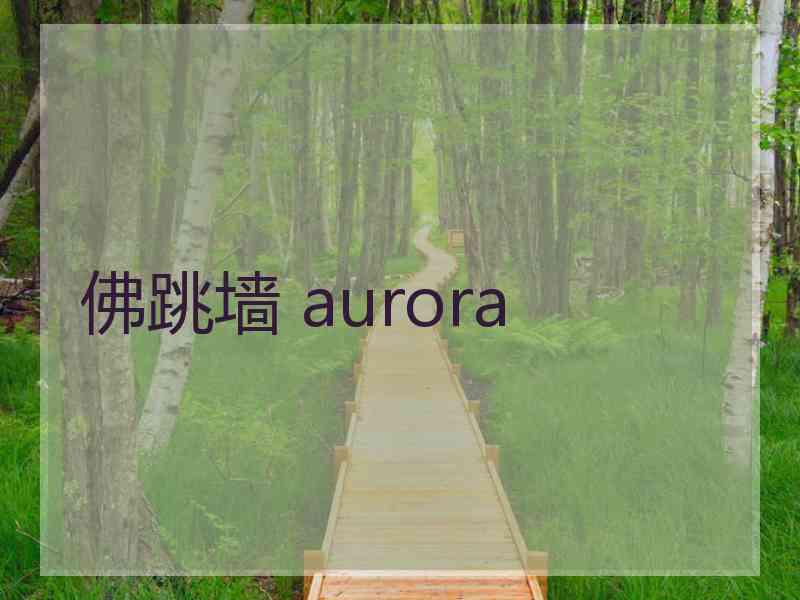 佛跳墙 aurora