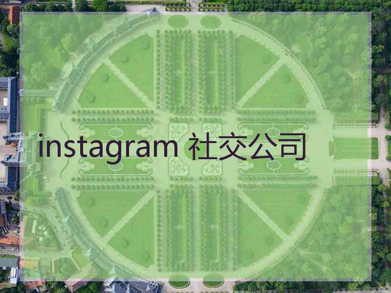 instagram 社交公司