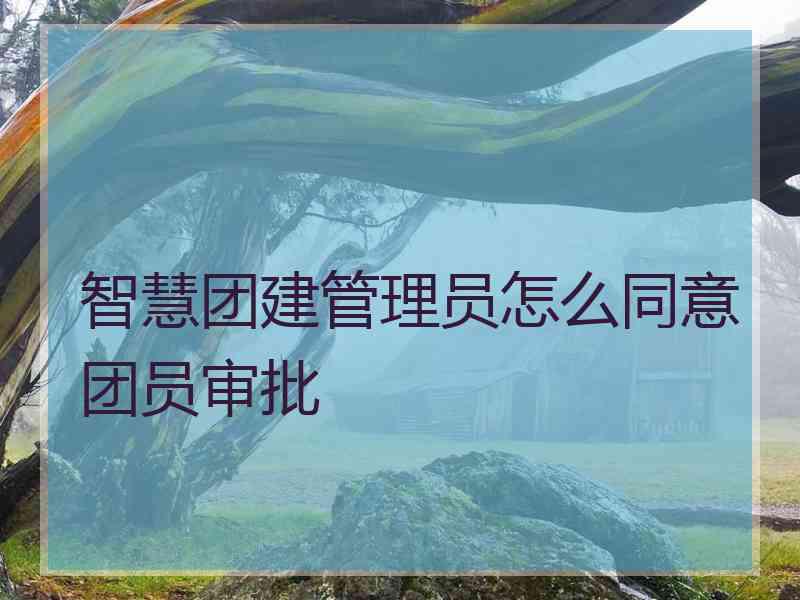 智慧团建管理员怎么同意团员审批