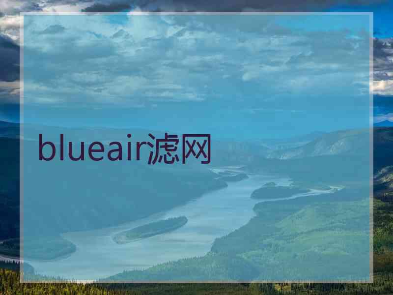 blueair滤网