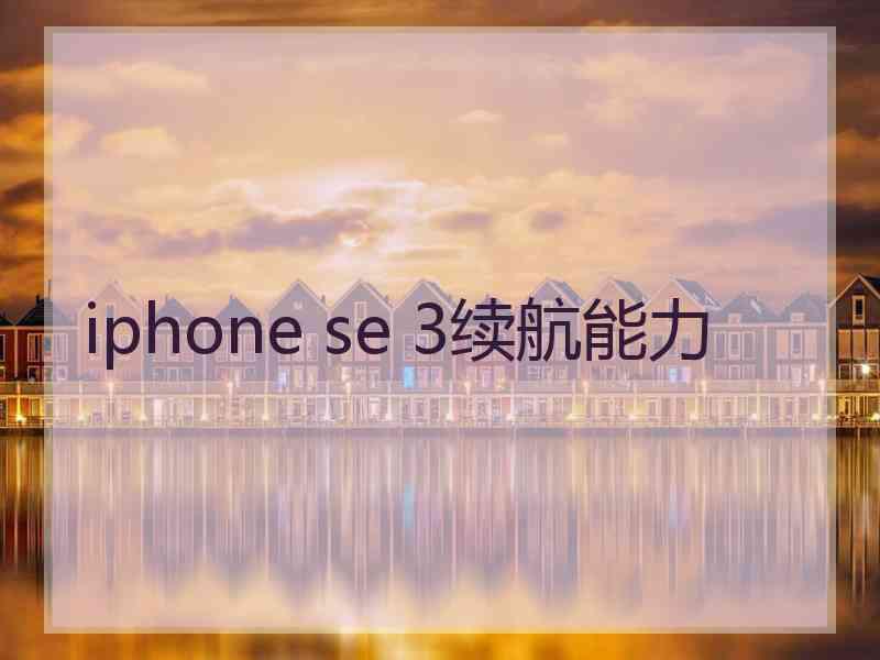 iphone se 3续航能力