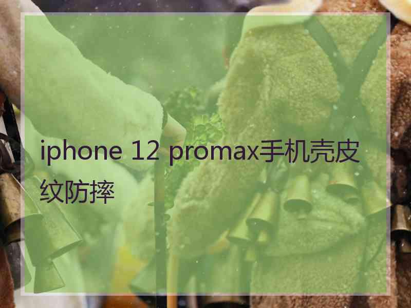 iphone 12 promax手机壳皮纹防摔