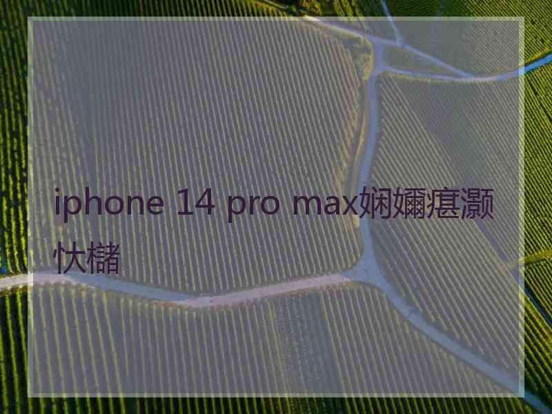 iphone 14 pro max娴嬭瘎灏忕櫧