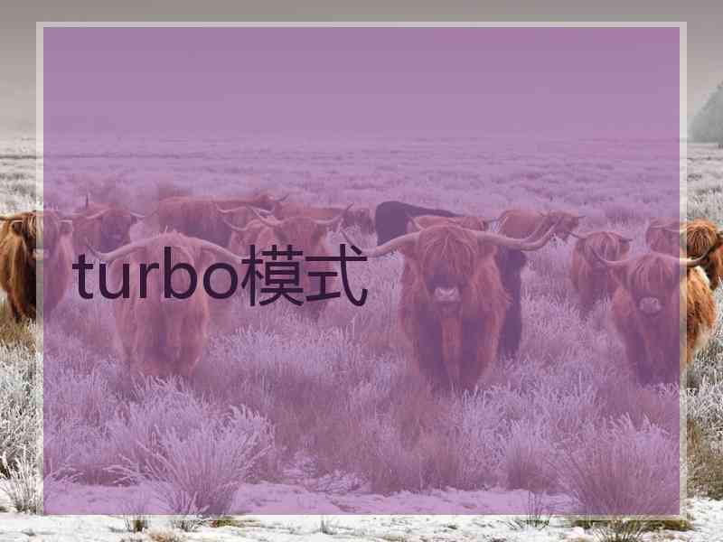 turbo模式