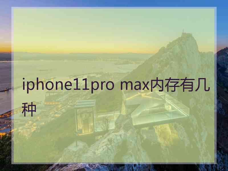 iphone11pro max内存有几种