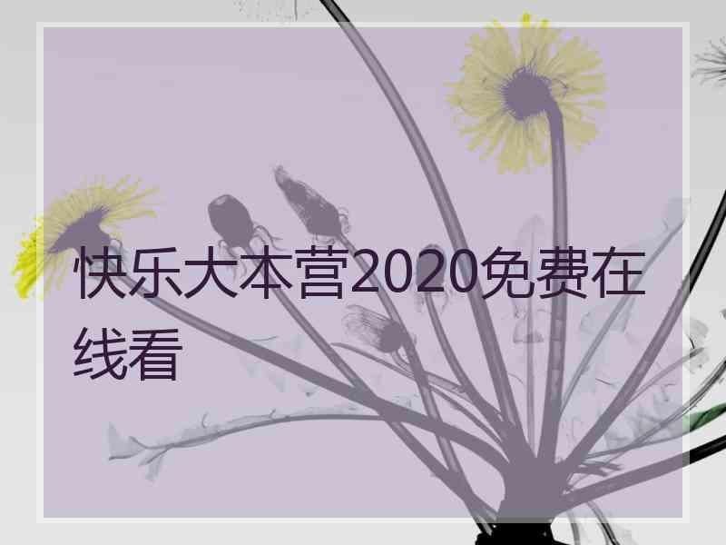 快乐大本营2020免费在线看