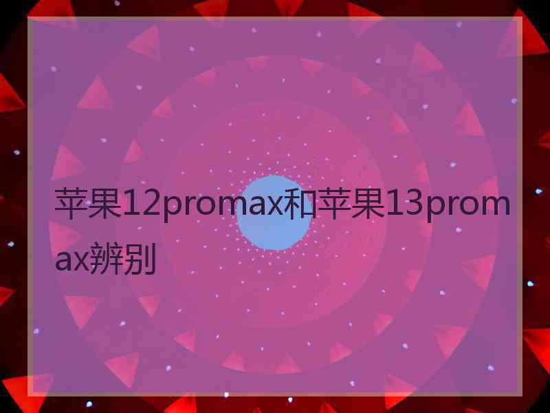 苹果12promax和苹果13promax辨别