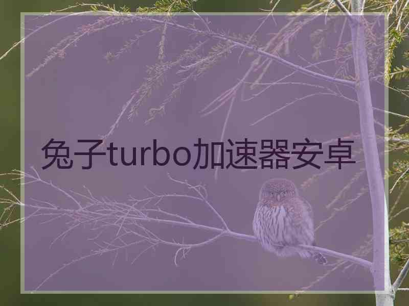 兔子turbo加速器安卓