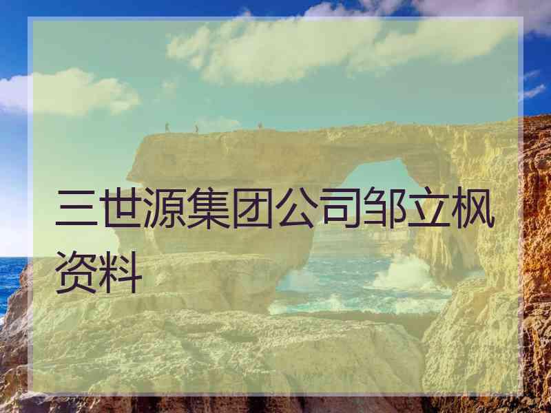 三世源集团公司邹立枫资料