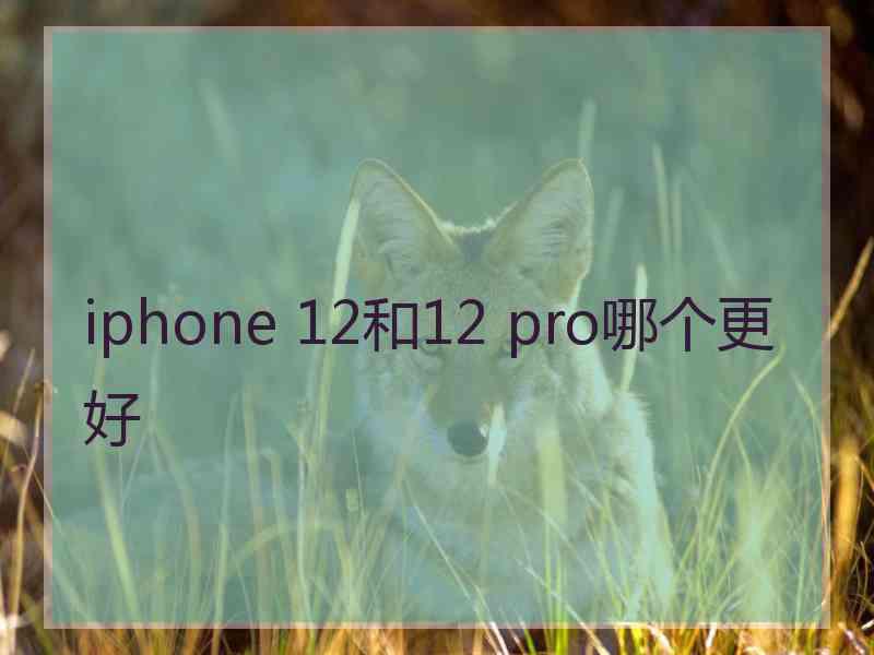 iphone 12和12 pro哪个更好