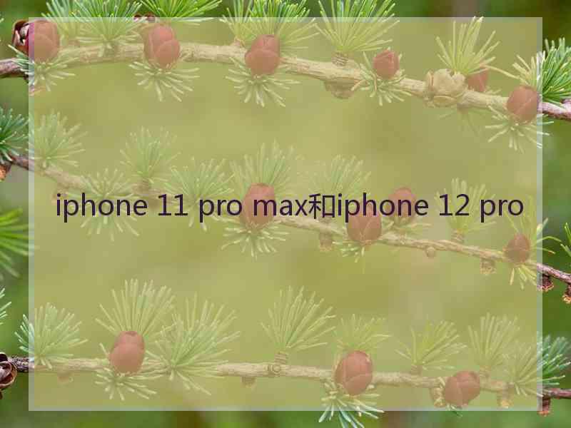 iphone 11 pro max和iphone 12 pro