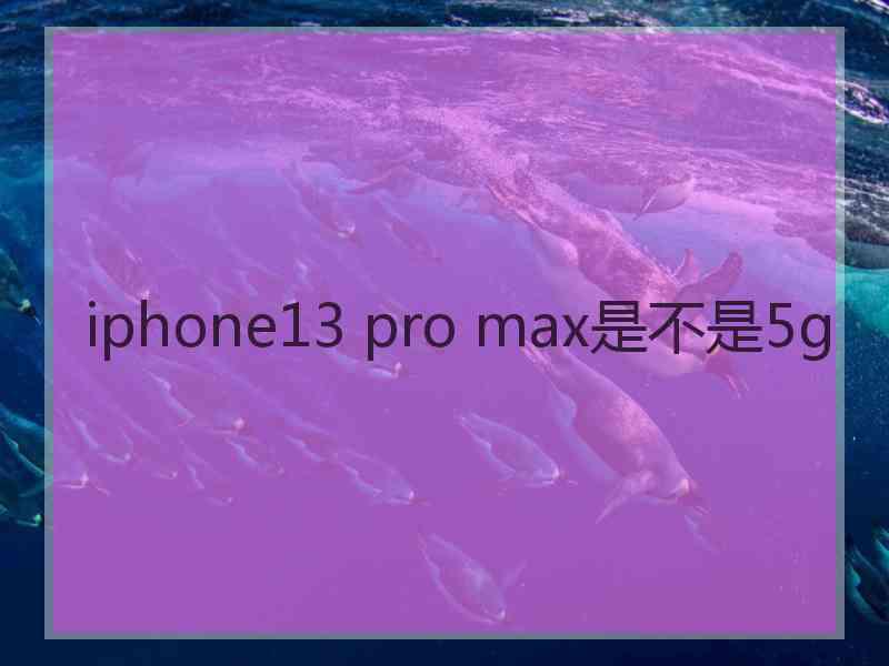 iphone13 pro max是不是5g