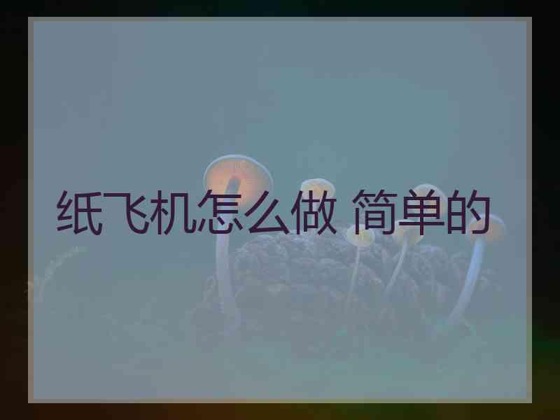 纸飞机怎么做 简单的