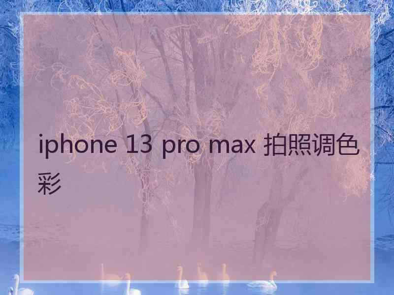 iphone 13 pro max 拍照调色彩