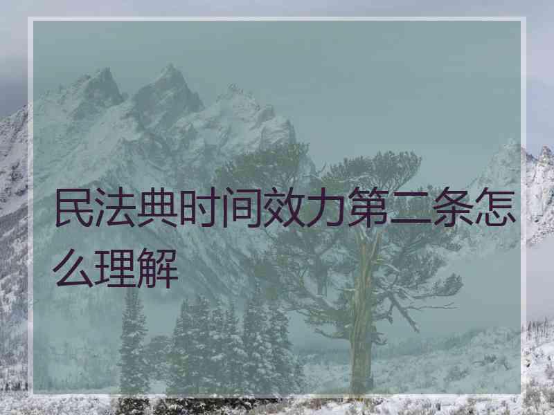 民法典时间效力第二条怎么理解