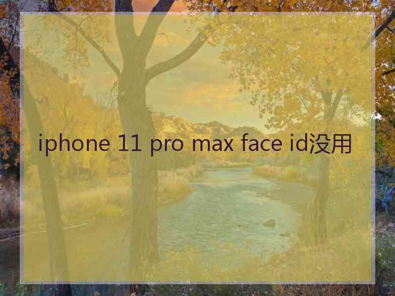 iphone 11 pro max face id没用