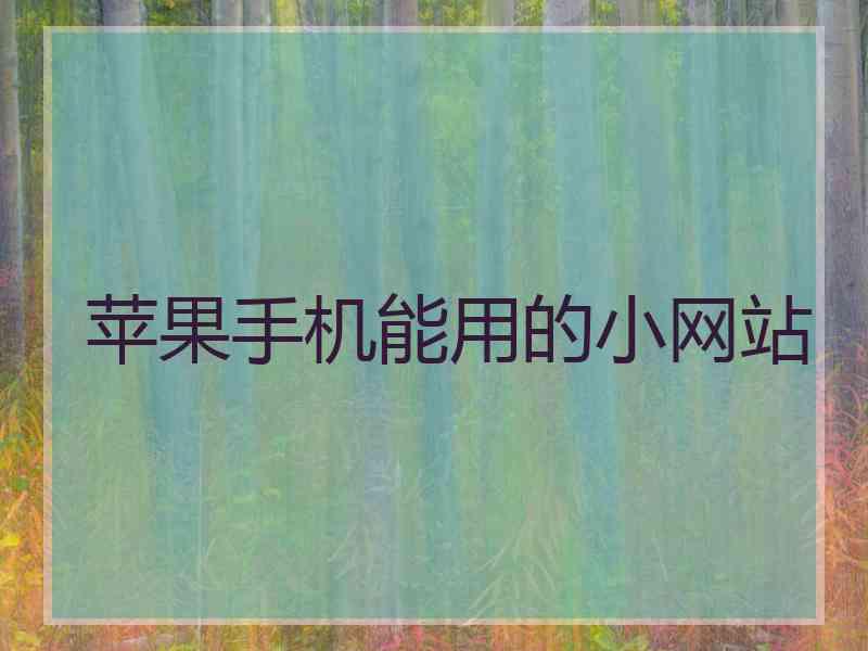 苹果手机能用的小网站