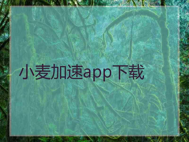 小麦加速app下载