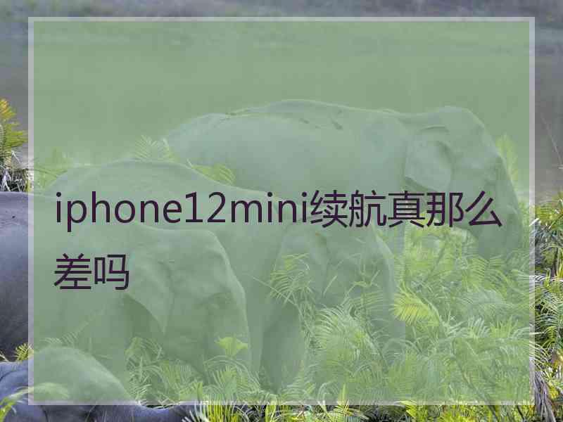 iphone12mini续航真那么差吗