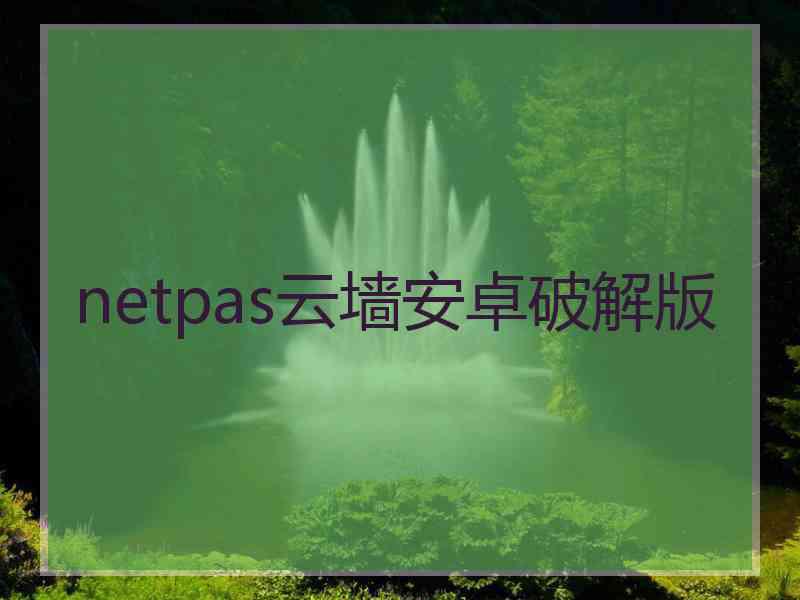 netpas云墙安卓破解版