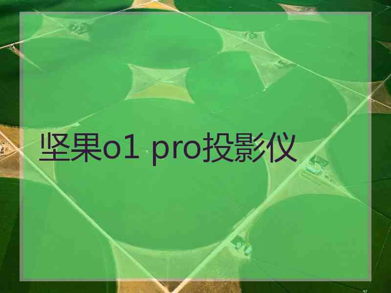 坚果o1 pro投影仪