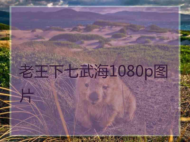 老王下七武海1080p图片