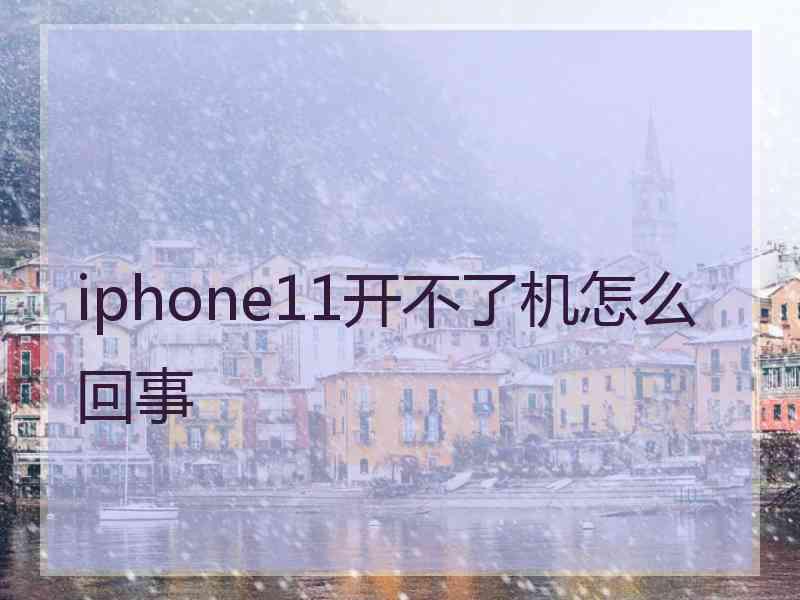 iphone11开不了机怎么回事