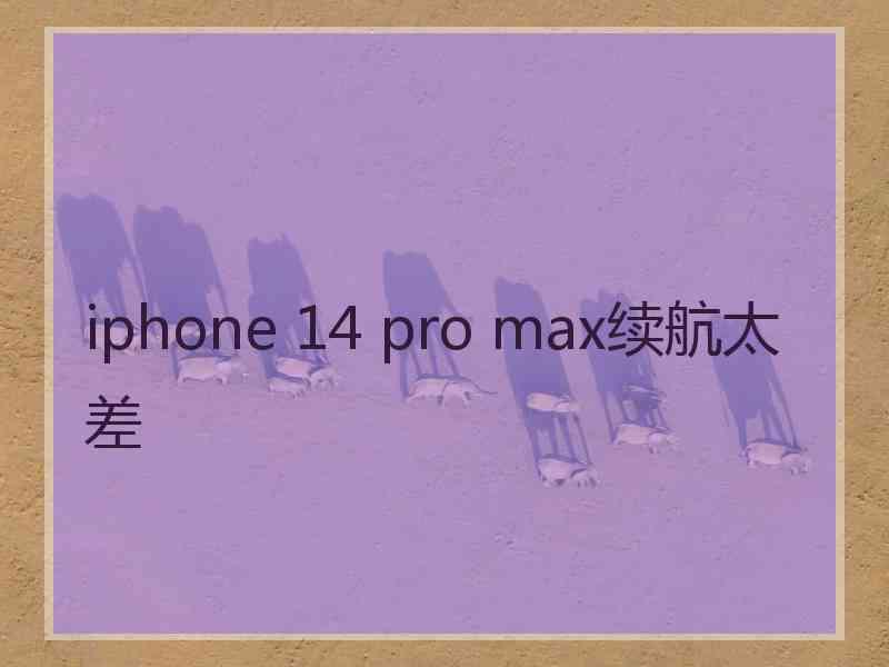 iphone 14 pro max续航太差