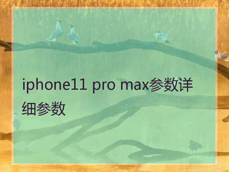 iphone11 pro max参数详细参数