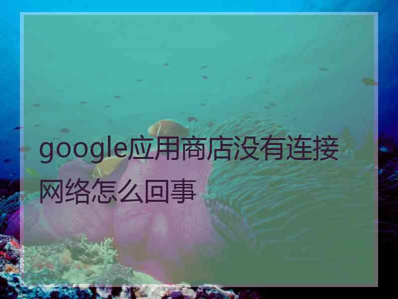 google应用商店没有连接网络怎么回事