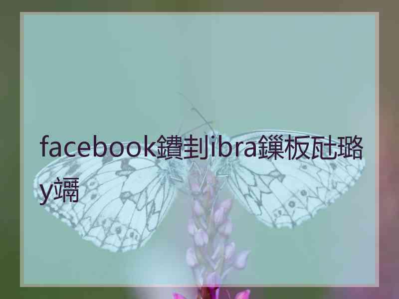 facebook鐨刲ibra鏁板瓧璐у竵