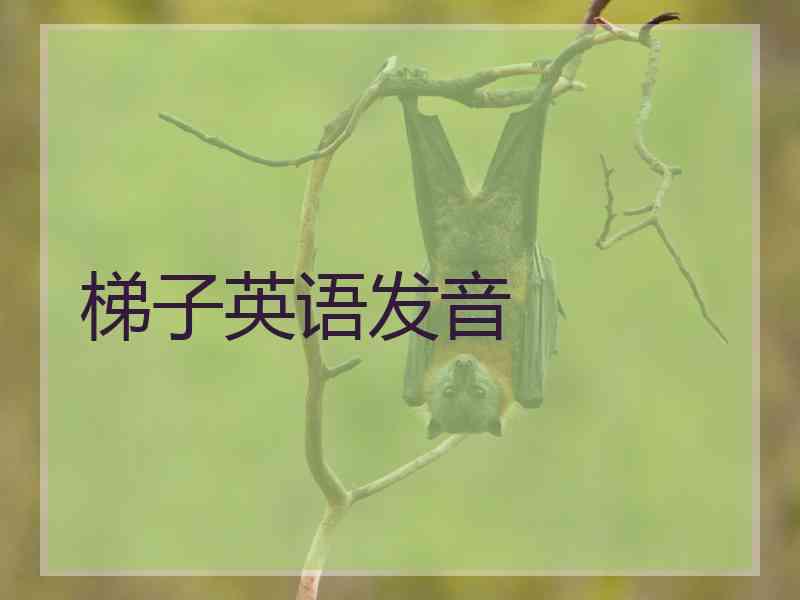 梯子英语发音