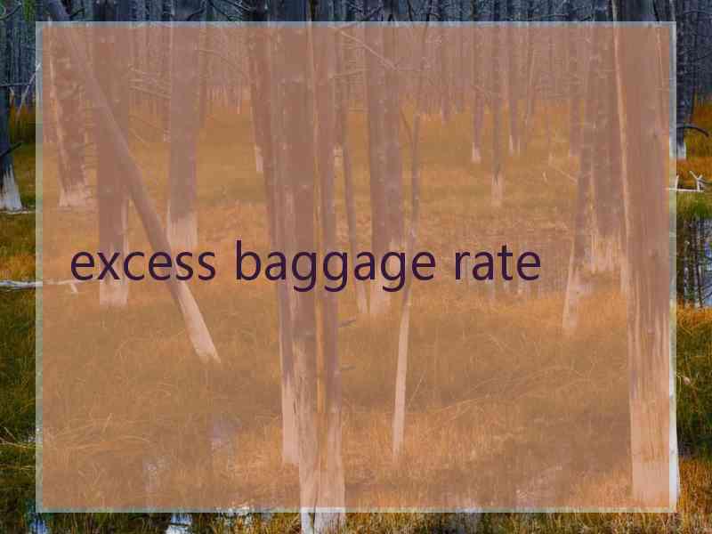 excess baggage rate