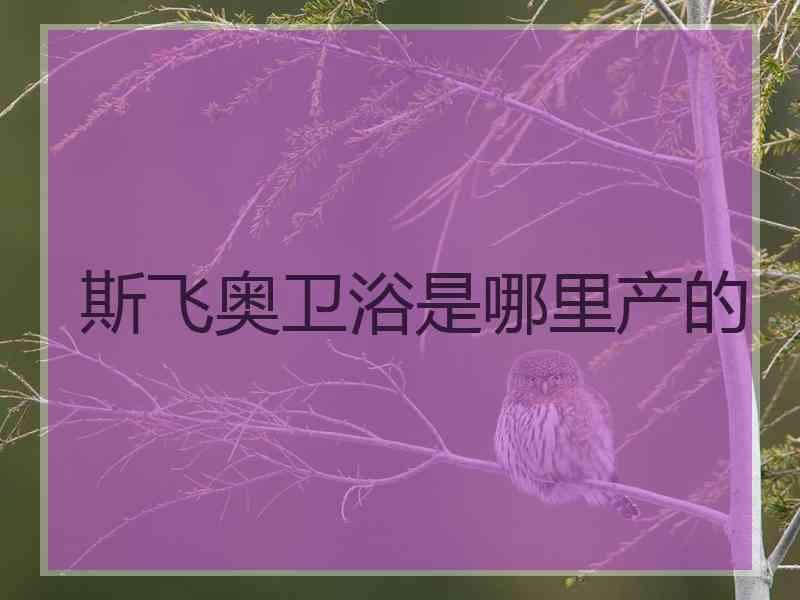 斯飞奥卫浴是哪里产的