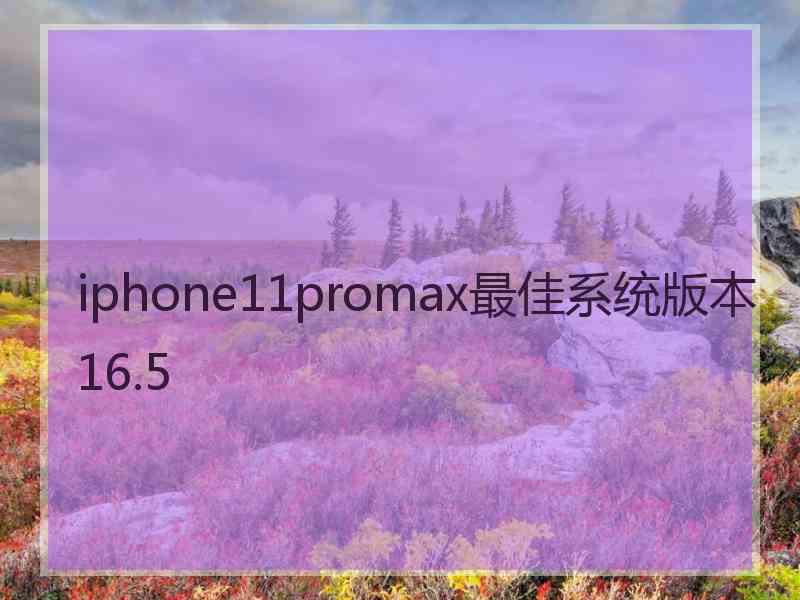 iphone11promax最佳系统版本16.5