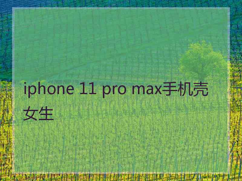 iphone 11 pro max手机壳女生