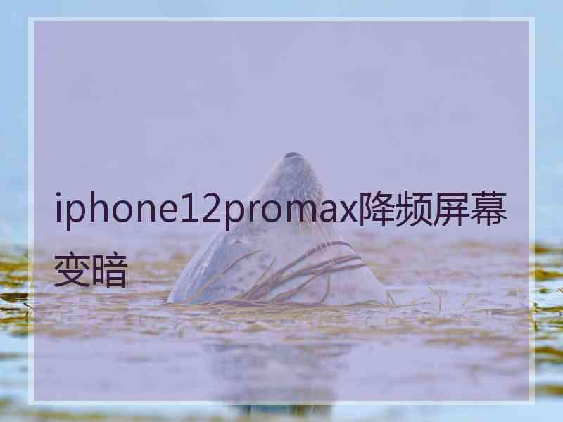 iphone12promax降频屏幕变暗