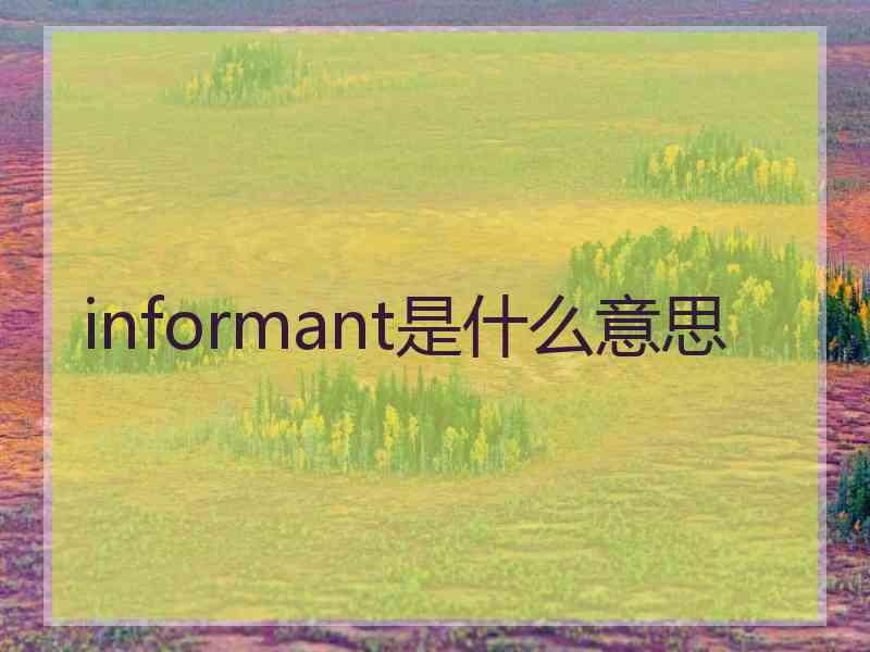 informant是什么意思