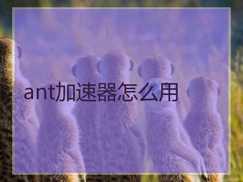 ant加速器怎么用