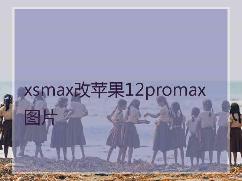 xsmax改苹果12promax图片