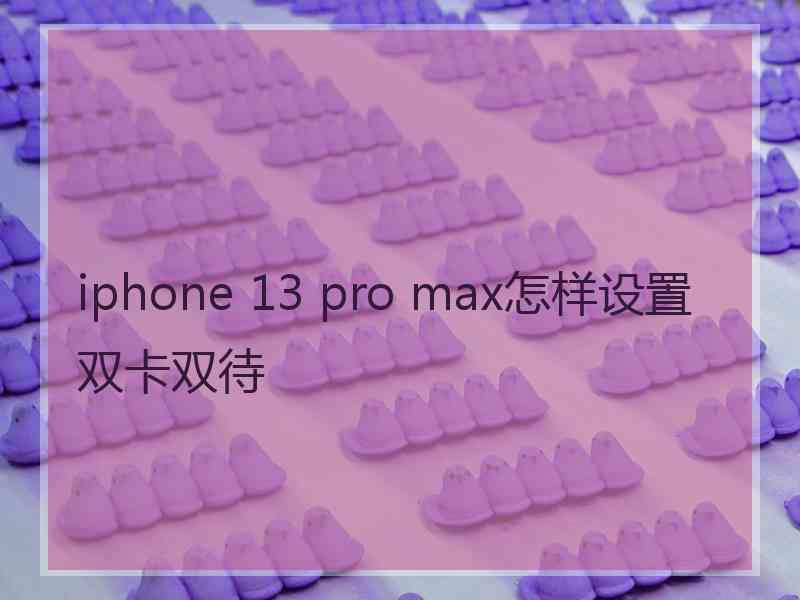 iphone 13 pro max怎样设置双卡双待