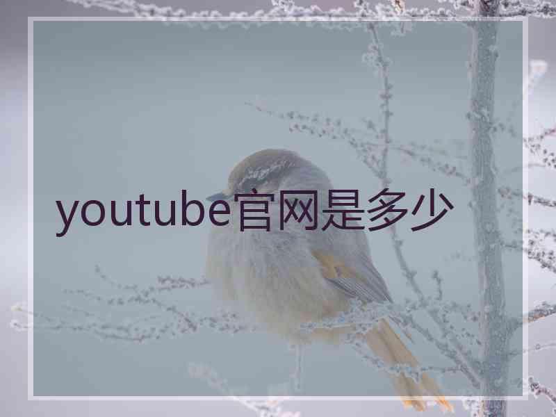 youtube官网是多少