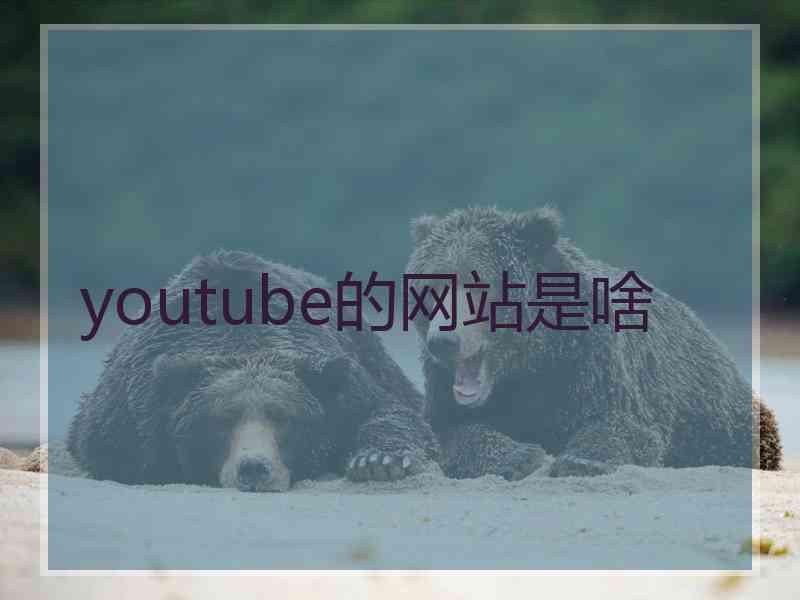 youtube的网站是啥