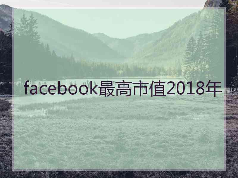 facebook最高市值2018年