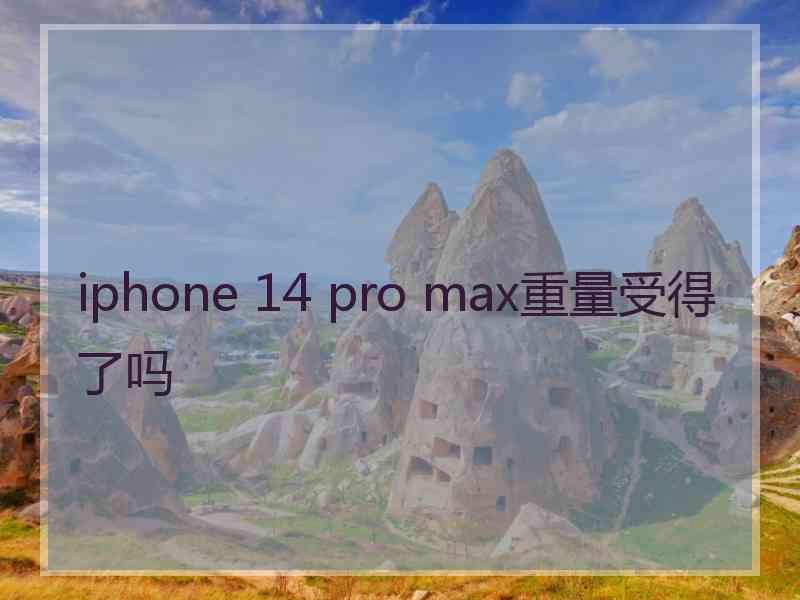 iphone 14 pro max重量受得了吗