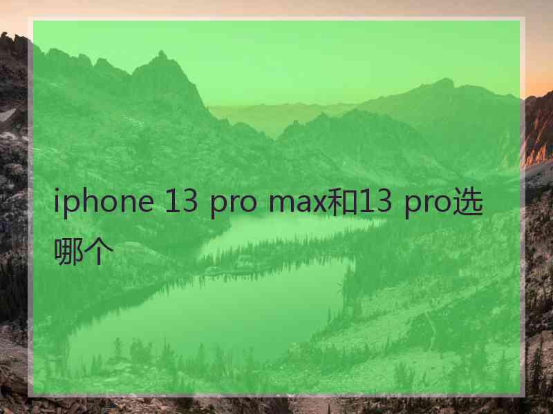 iphone 13 pro max和13 pro选哪个