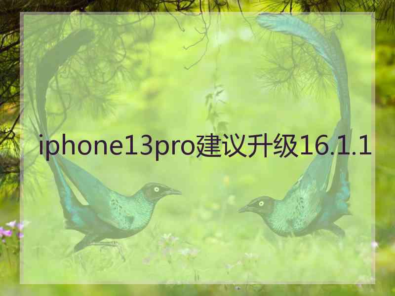 iphone13pro建议升级16.1.1